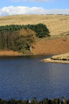 Fly Fishing for Trout at Errwood Reservoir, Buxton